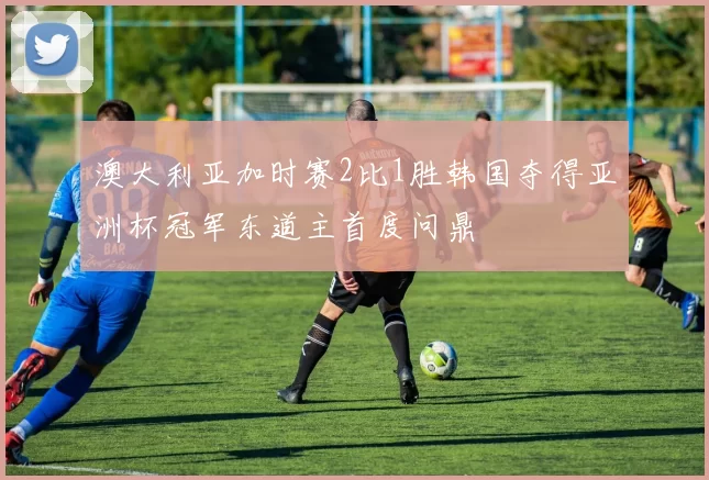 澳大利亚加时赛2比1胜韩国夺得亚洲杯冠军东道主首度问鼎