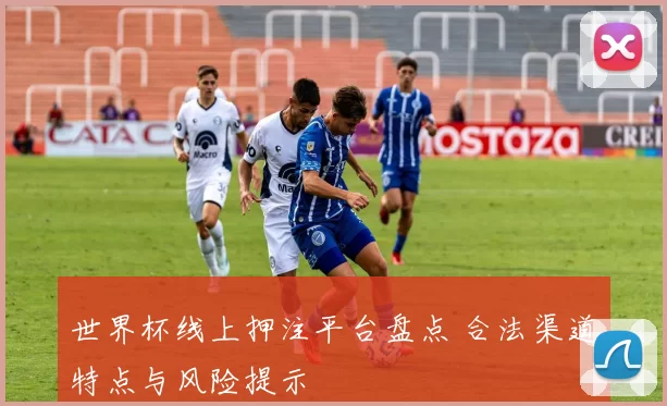 世界杯线上押注平台盘点 合法渠道特点与风险提示